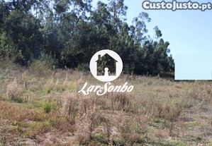 imagem_15