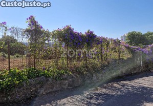 Terreno | São João Da Madeira