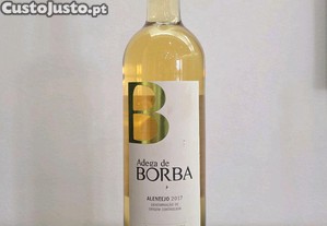 imagem_1