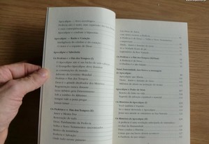 imagem_7