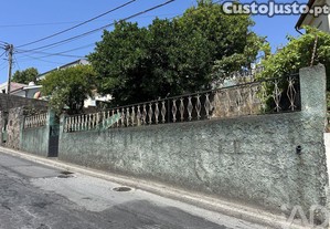 imagem_12