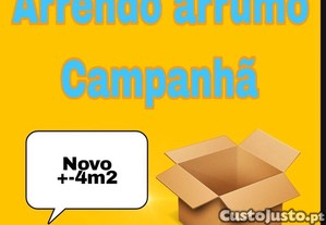 imagem_3