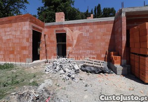 imagem_19