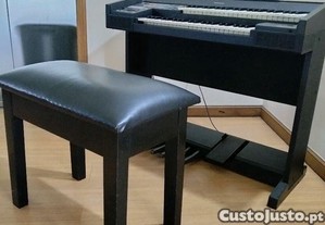 imagem_7