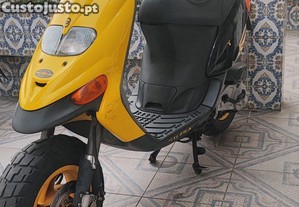 imagem_1