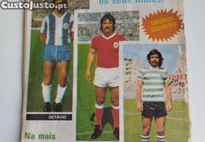 imagem_7