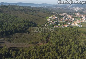 Felgueira - Terreno Florestal C/ 15.130 M², Em...