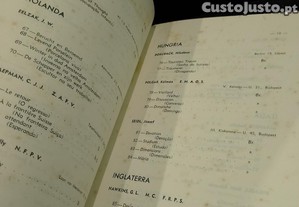 imagem_14