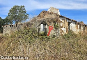 imagem_11