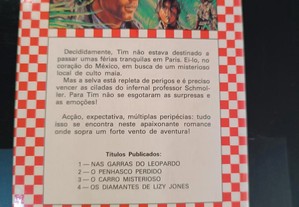 imagem_4