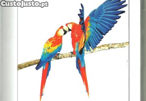 imagem_5