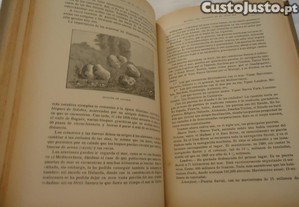 imagem_6