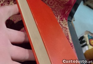 imagem_4