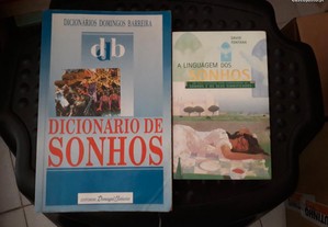 Obras de Domingos Barreira e David Fontana