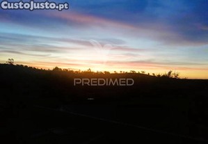 imagem_31