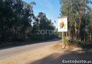 Terreno Rustico Com 25.000 M2 Em Fradelos...