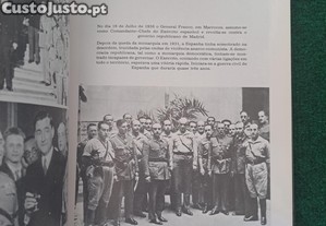 imagem_8