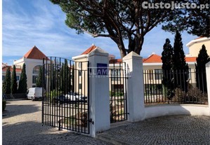 imagem_24