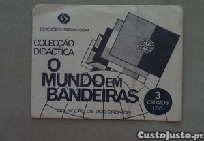 imagem_1
