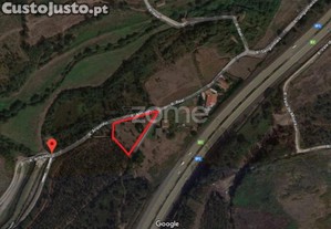 Terreno Rústico Com 2 600 M2 Em Palmeira Santo...