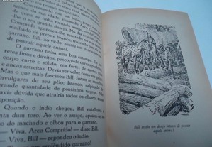 imagem_5