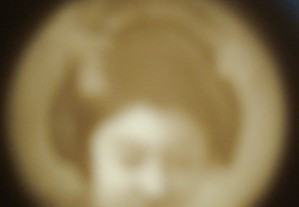 imagem_5