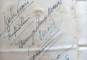 imagem_6
