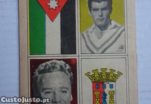 imagem_3