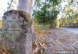 Terreno Rústico Com 7.900 M2 Em Monte Córdova -...