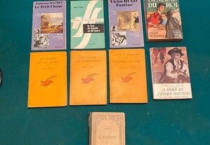 Lote de Livros em Francês