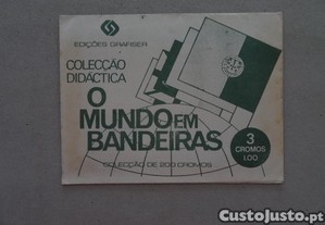 imagem_1