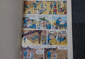 imagem_2