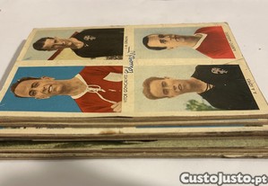 imagem_3