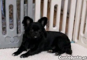 imagem_4