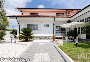 imagem_23