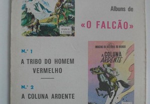 imagem_3
