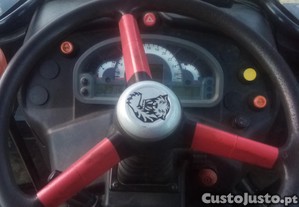 imagem_1