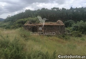 imagem_13
