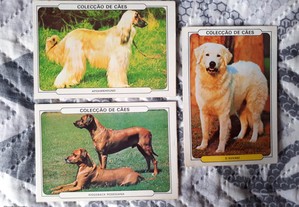 3 Calendários de 1986 - Cães