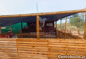 imagem_8