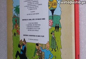 imagem_4