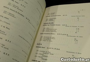 imagem_13