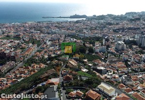 imagem_13