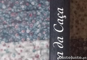 imagem_7