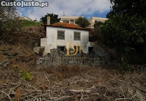 imagem_7