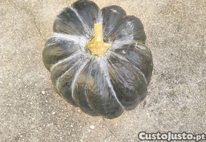 Ab�bora menina mais de 30kg