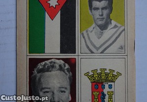 imagem_3