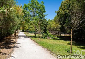 imagem_33
