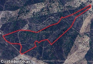 Conjunto de Cinco Terrenos Rsticos, Almodvar, So Barnab, Cansados.