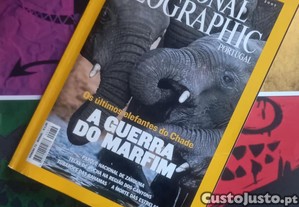 imagem_1